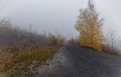 Haldenmotive, hier: Nebel auf der Halde Göttelborn (3)