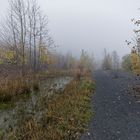 Haldenmotive, hier: Nebel auf der Halde Göttelborn (4)