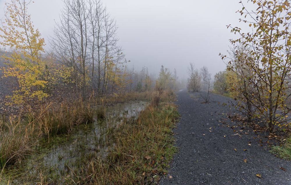 Haldenmotive, hier: Nebel auf der Halde Göttelborn (4)