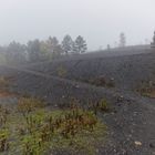 Haldenmotive, hier: Nebel auf der Halde Göttelborn (5)