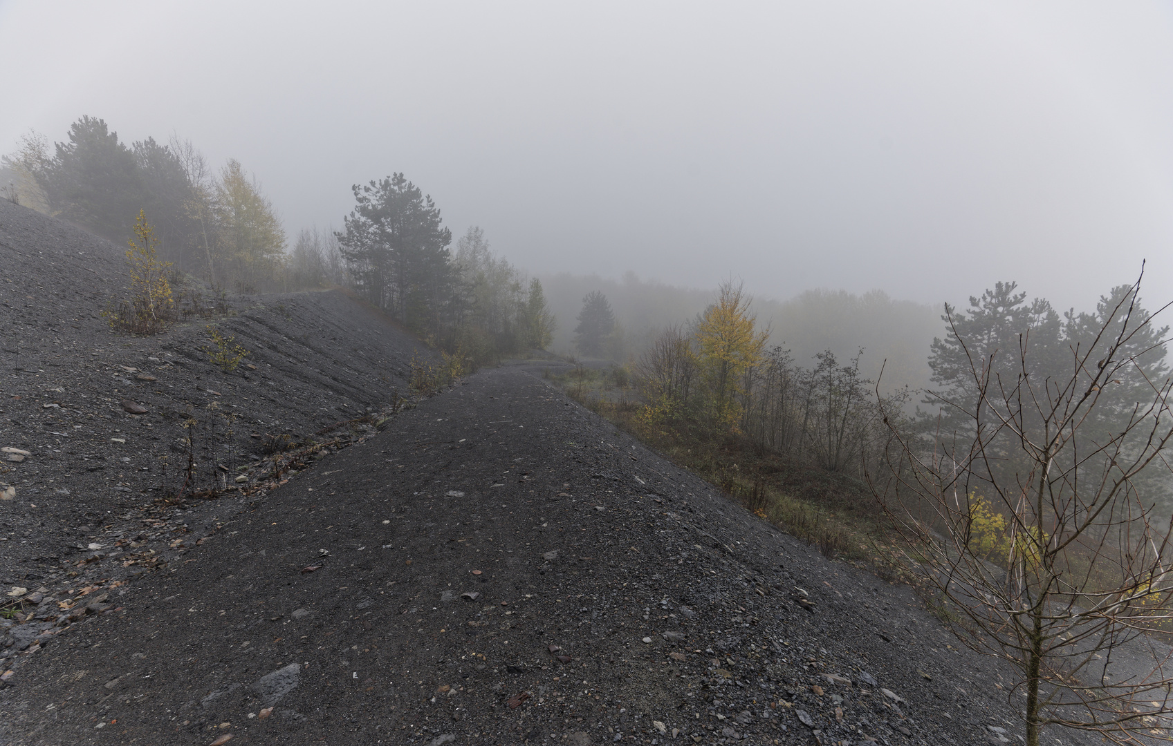 Haldenmotive, hier: Nebel auf der Halde Göttelborn (6)