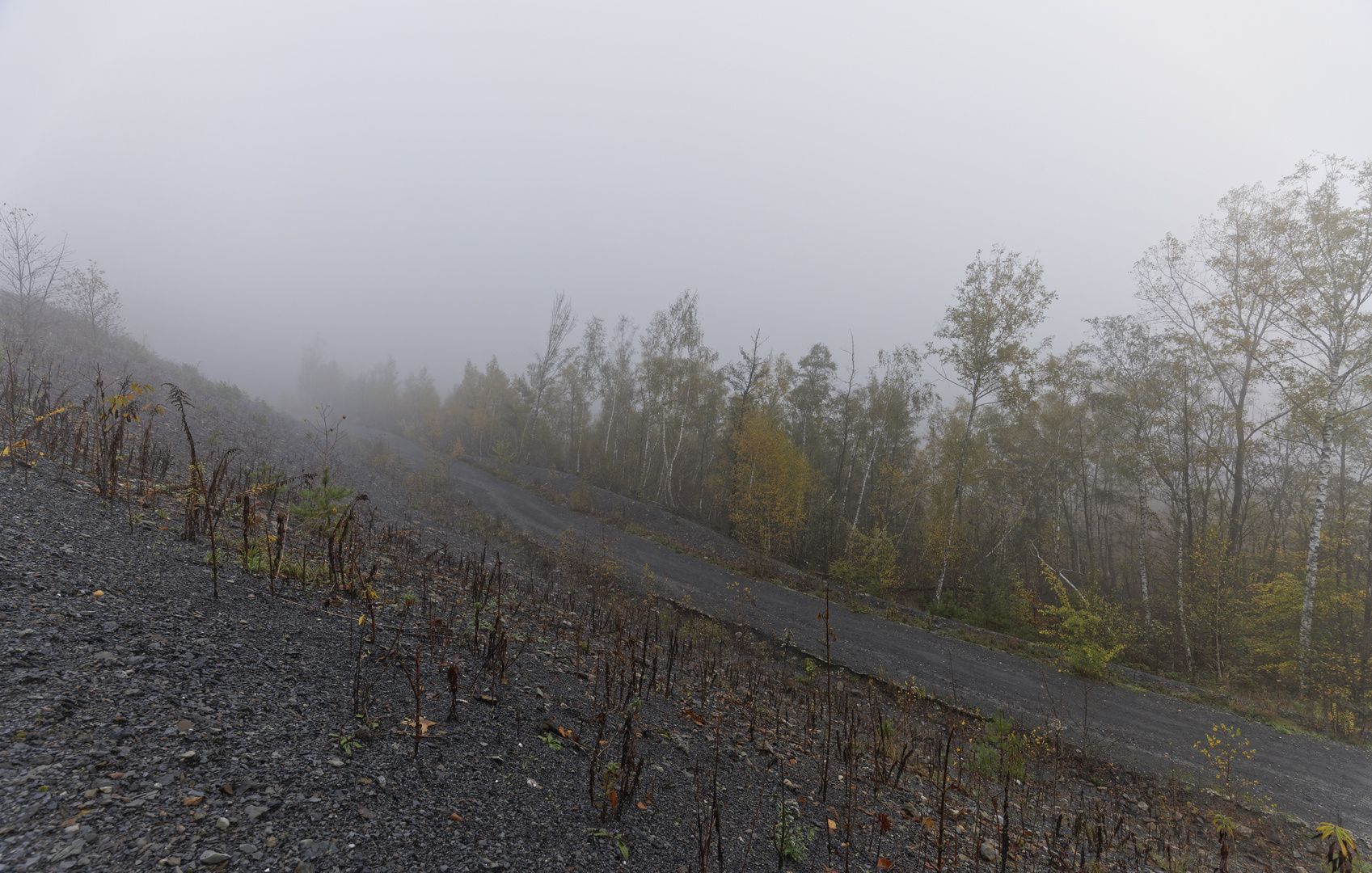 Haldenmotive, hier: Nebel auf der Halde Göttelborn