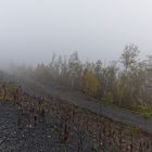 Haldenmotive, hier: Nebel auf der Halde Göttelborn