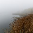 Haldenmotive, hier: Nebelstimmung am Kohlbachweiher