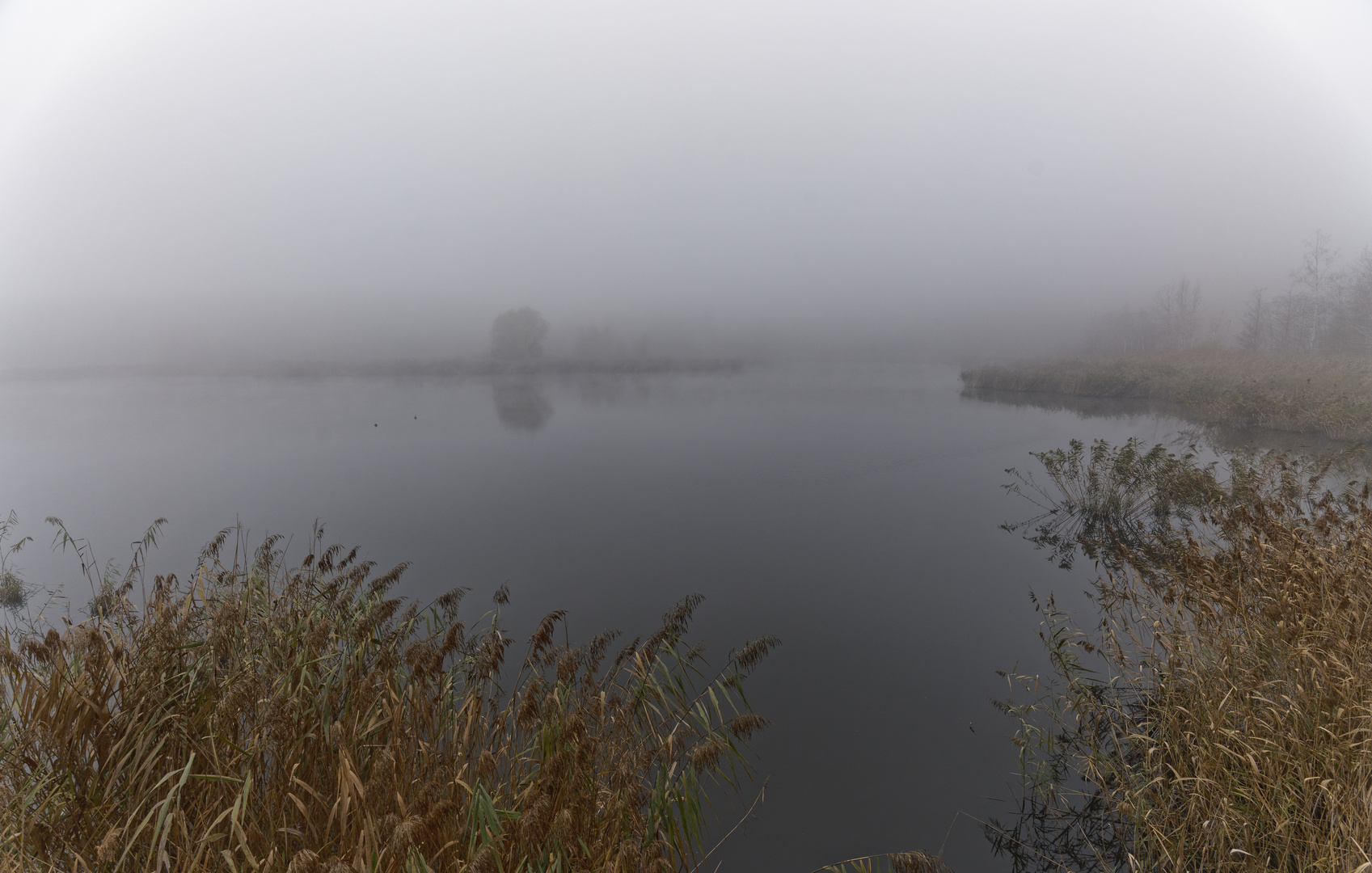 Haldenmotive, hier: Nebelstimmung am Kohlbachweiher