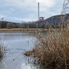 Haldenmotive, hier: Rückkehr der Natur am Kohlbachweiher auf der Bergehalde Göttelborn/Saar