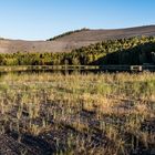 Haldenmotive, hier: Rückkehr der Natur am Kohlbachweiher auf der Halde Göttelborn