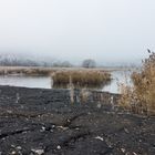 Haldenmotive, hier: Rückkehr der Natur am Kohlbachweiher auf der Halde Göttelborn