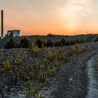 Haldenmotive, hier: Sonnenuntergang auf der Halde Göttelborn