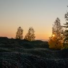 Haldenmotive, hier: Sonnenuntergang auf der Halde Lydia Camphausen