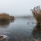 Haldenmotive, hier: Stillstand am Kohlbachweiher auf der Halde Göttelborn