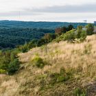 Haldenmotive, hier: Vegetation auf der Halde Lydia Camphausen