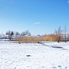 Haldenmotive, hier: Winter auf dem Plateau der Halde Lydia Camphausen (Saarland)