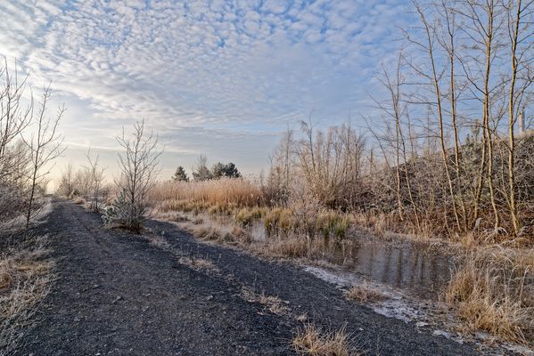Haldenmotive, hier: Winter auf der Halde Göttelborn/Saarland