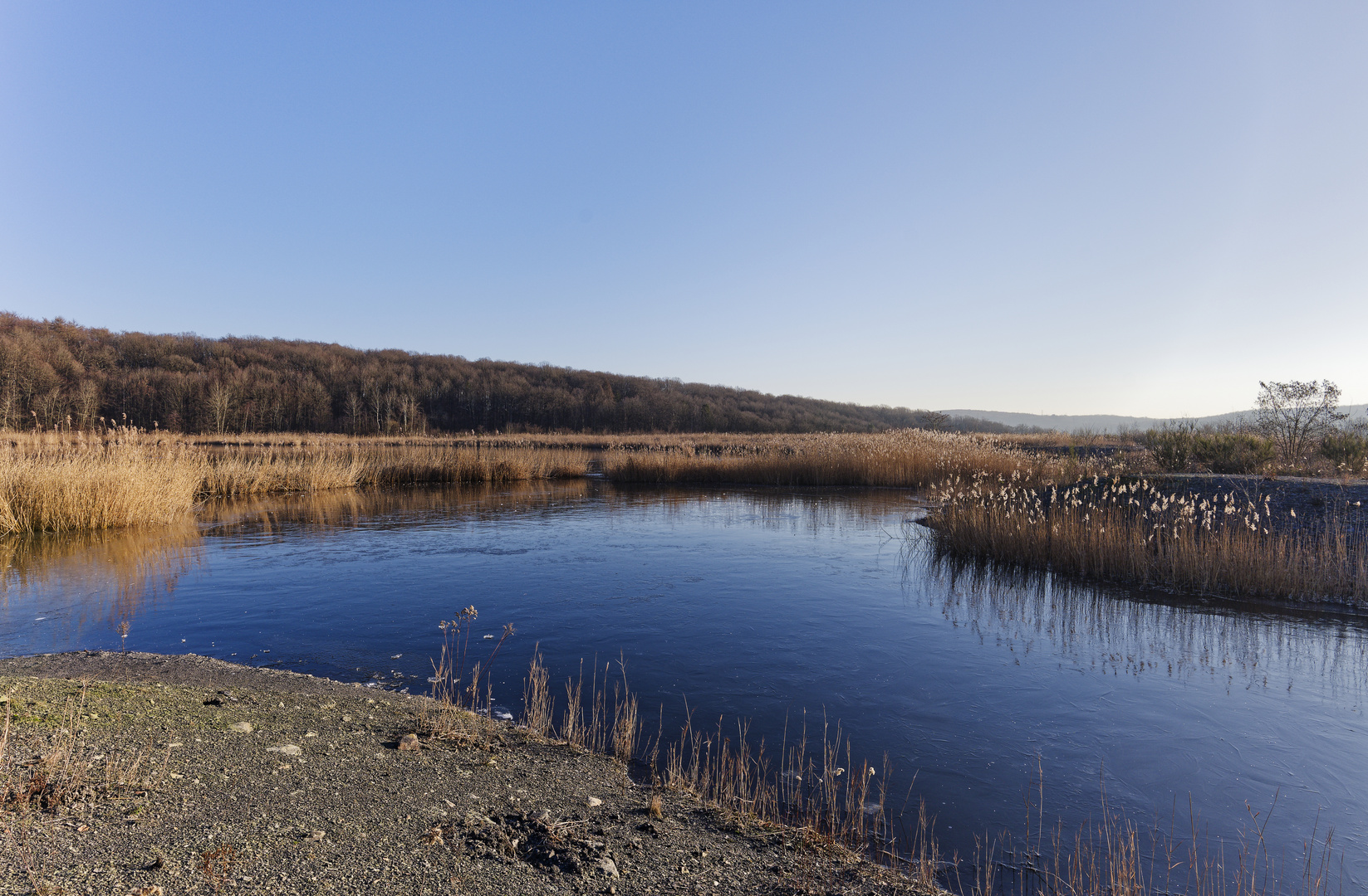 Haldenmotive, hier: Winterimpressionen am Kohlbachweiher