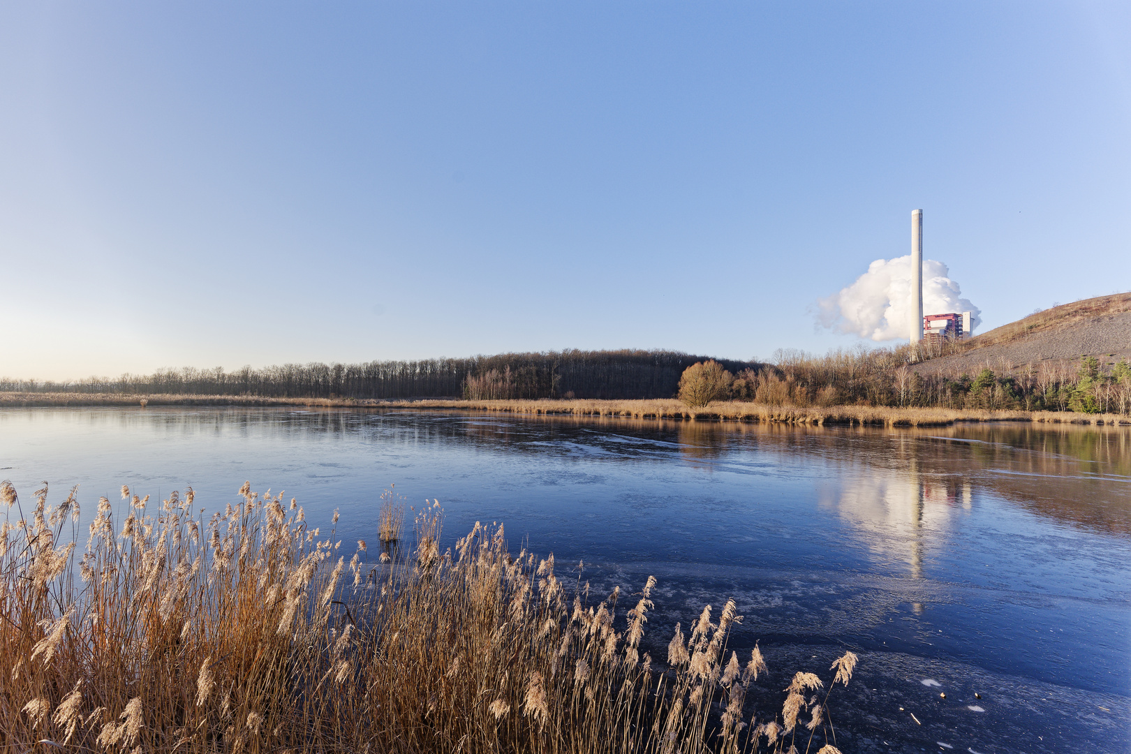 Haldenmotive, hier: Winterimpressionen am Kohlbachweiher