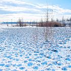 Haldenmotive, hier: Winterimpressionen auf dem Plateau der Halde Lydia Camphausen (Saarland)  (1)