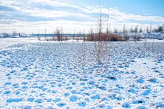 Haldenmotive, hier: Winterimpressionen auf dem Plateau der Halde Lydia Camphausen (Saarland)  (1)