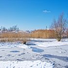 Haldenmotive, hier: Winterimpressionen auf dem Plateau der Halde Lydia Camphausen (Saarland)  (2)