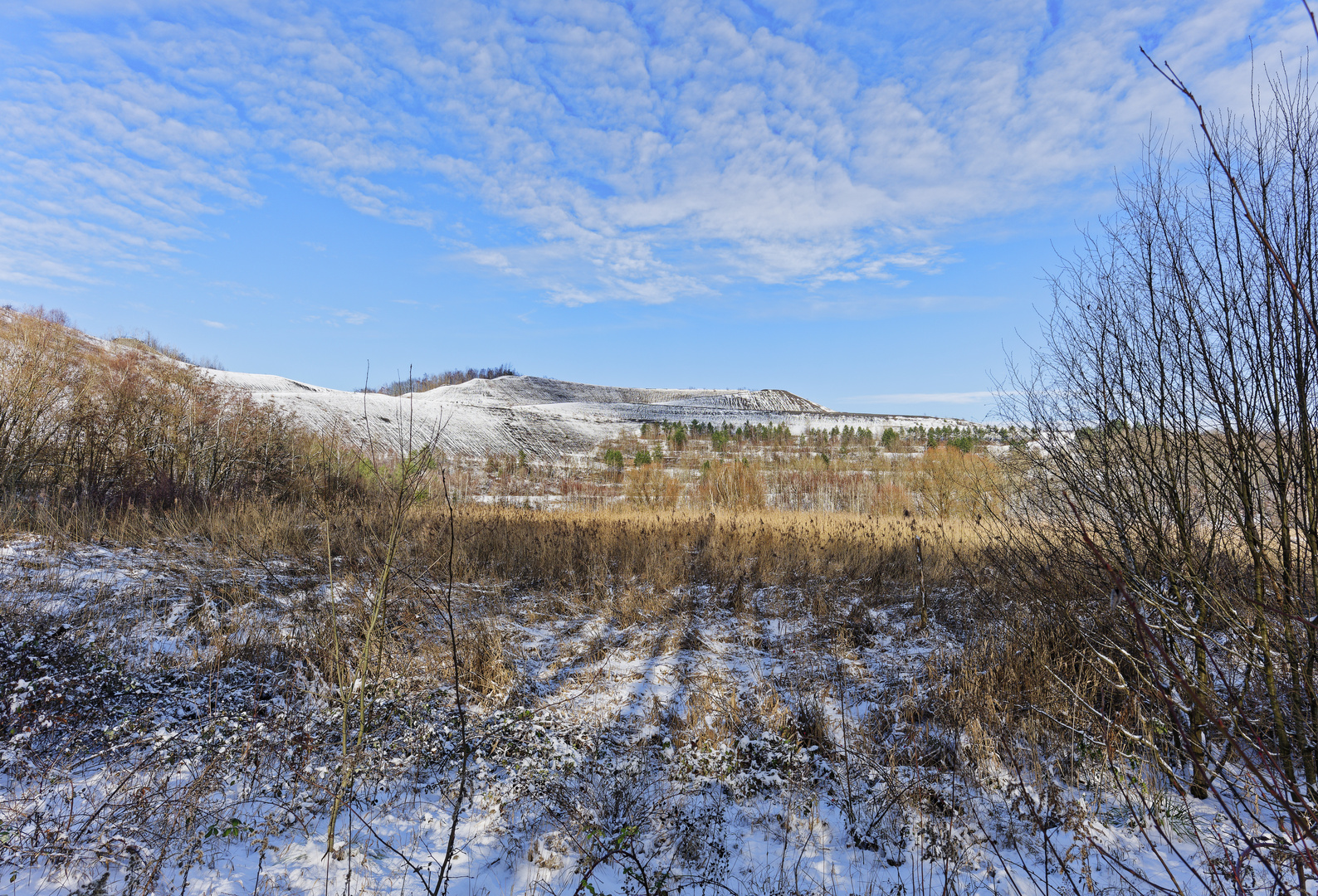 Haldenmotive, hier: Winterimpressionen auf der Bergehalde Göttelborn/Saar (12)