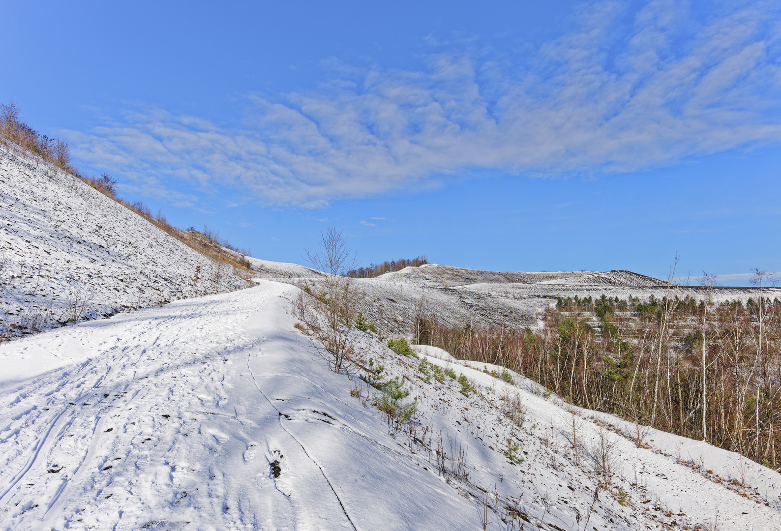 Haldenmotive, hier: Winterimpressionen auf der Bergehalde Göttelborn/Saar (13)