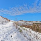 Haldenmotive, hier: Winterimpressionen auf der Bergehalde Göttelborn/Saar (13)