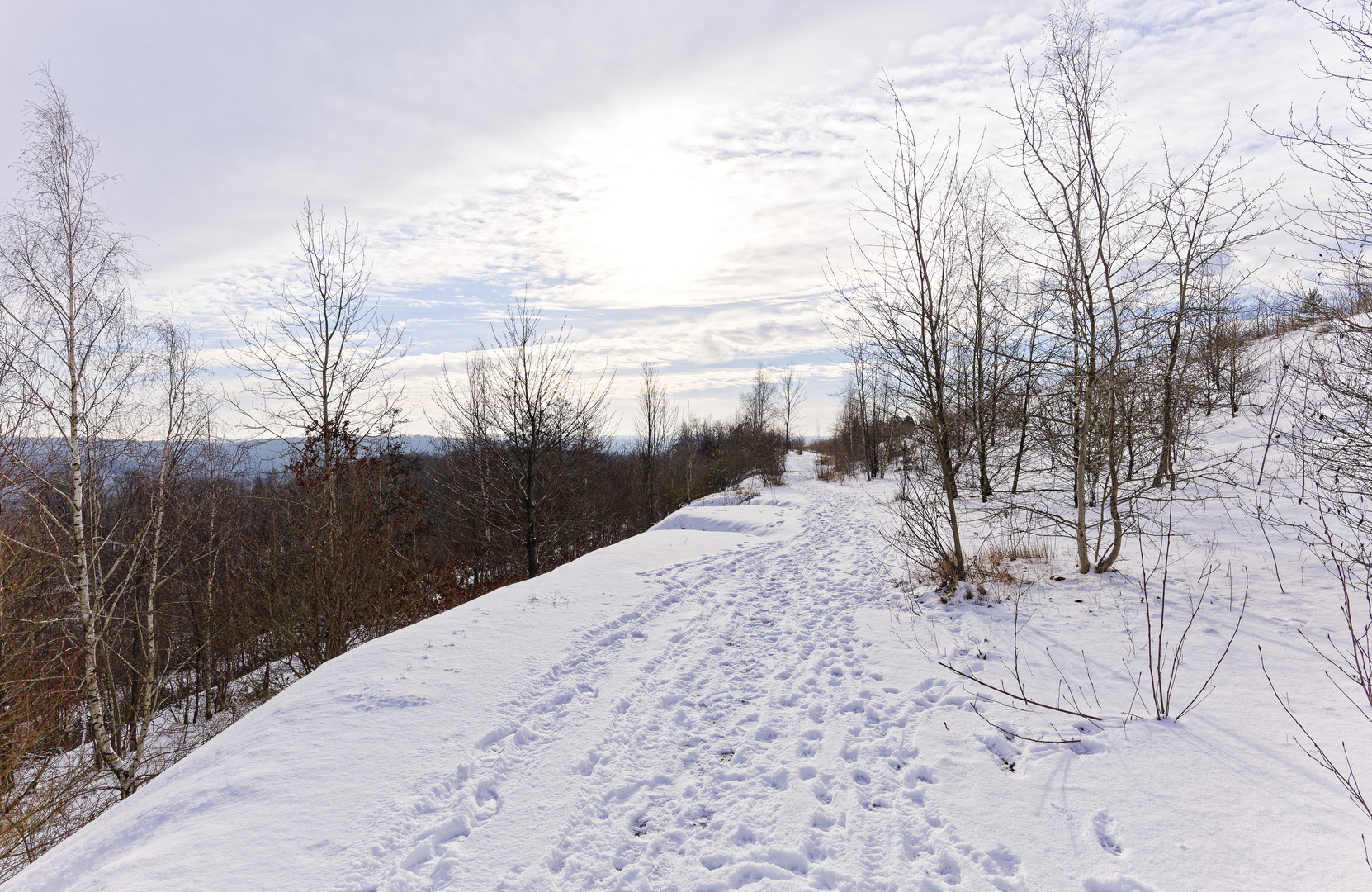 Haldenmotive, hier: Winterimpressionen auf der Bergehalde Göttelborn/Saar (2)