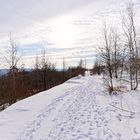 Haldenmotive, hier: Winterimpressionen auf der Bergehalde Göttelborn/Saar (2)