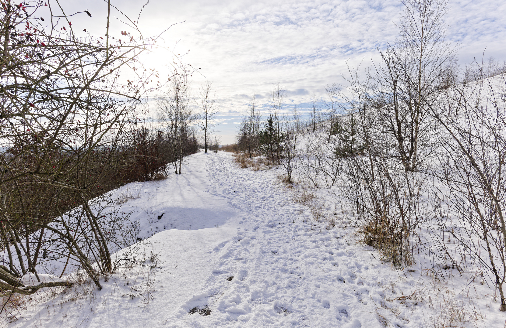 Haldenmotive, hier: Winterimpressionen auf der Bergehalde Göttelborn/Saar (3)