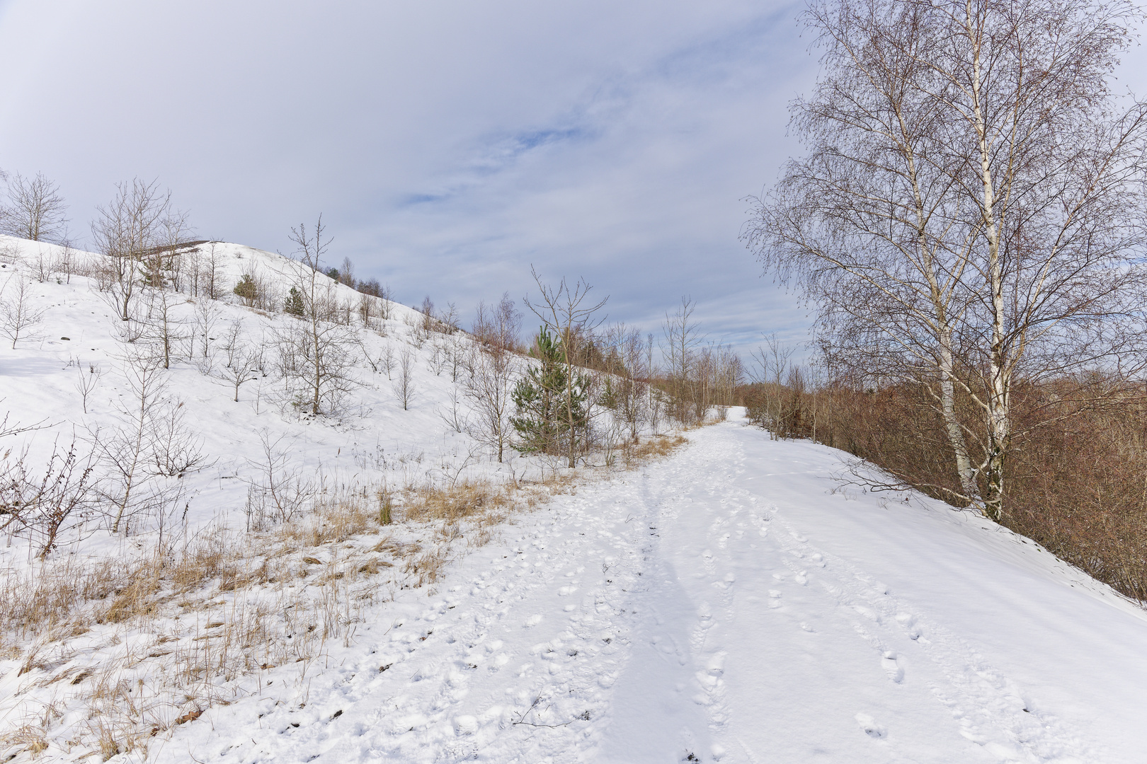 Haldenmotive, hier: Winterimpressionen auf der Bergehalde Göttelborn/Saar (4)