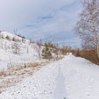 Haldenmotive, hier: Winterimpressionen auf der Bergehalde Göttelborn/Saar (4)