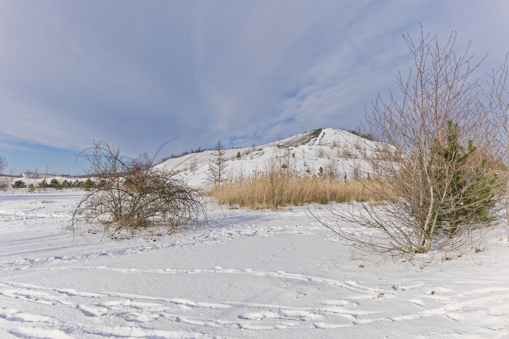Haldenmotive, hier: Winterimpressionen auf der Bergehalde Göttelborn/Saar (5)