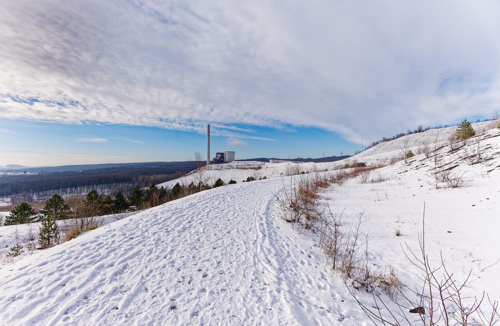 Haldenmotive, hier: Winterimpressionen auf der Bergehalde Göttelborn/Saar (7)