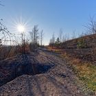 Haldenmotive, hier: Winterimpressionen auf der Bergehalde Göttelborn/Saar