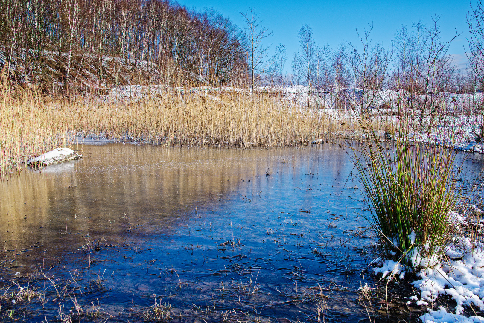 Haldenmotive, hier: Winterimpressionen auf der Halde Lydia Camphausen (Saarland)  (3)