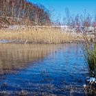 Haldenmotive, hier: Winterimpressionen auf der Halde Lydia Camphausen (Saarland)  (3)