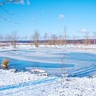 Haldenmotive, hier: Winterimpressionen auf der Halde Lydia Camphausen (Saarland)  (4)