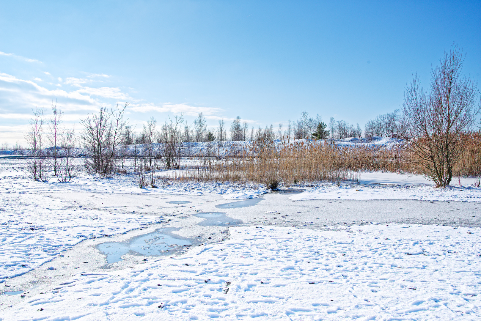 Haldenmotive, hier: Winterimpressionen auf der Halde Lydia Camphausen (Saarland)  (5)