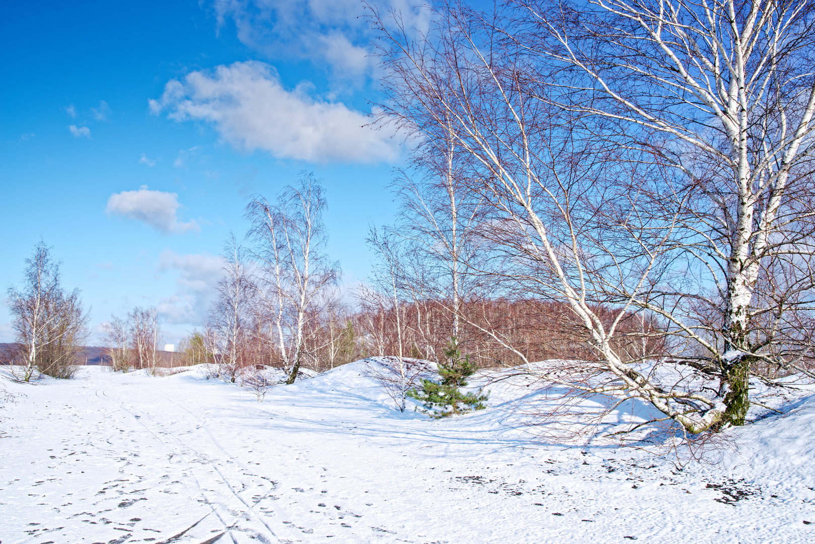 Haldenmotive, hier: Winterimpressionen auf der Halde Lydia Camphausen (Saarland)