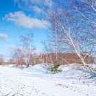 Haldenmotive, hier: Winterimpressionen auf der Halde Lydia Camphausen (Saarland)