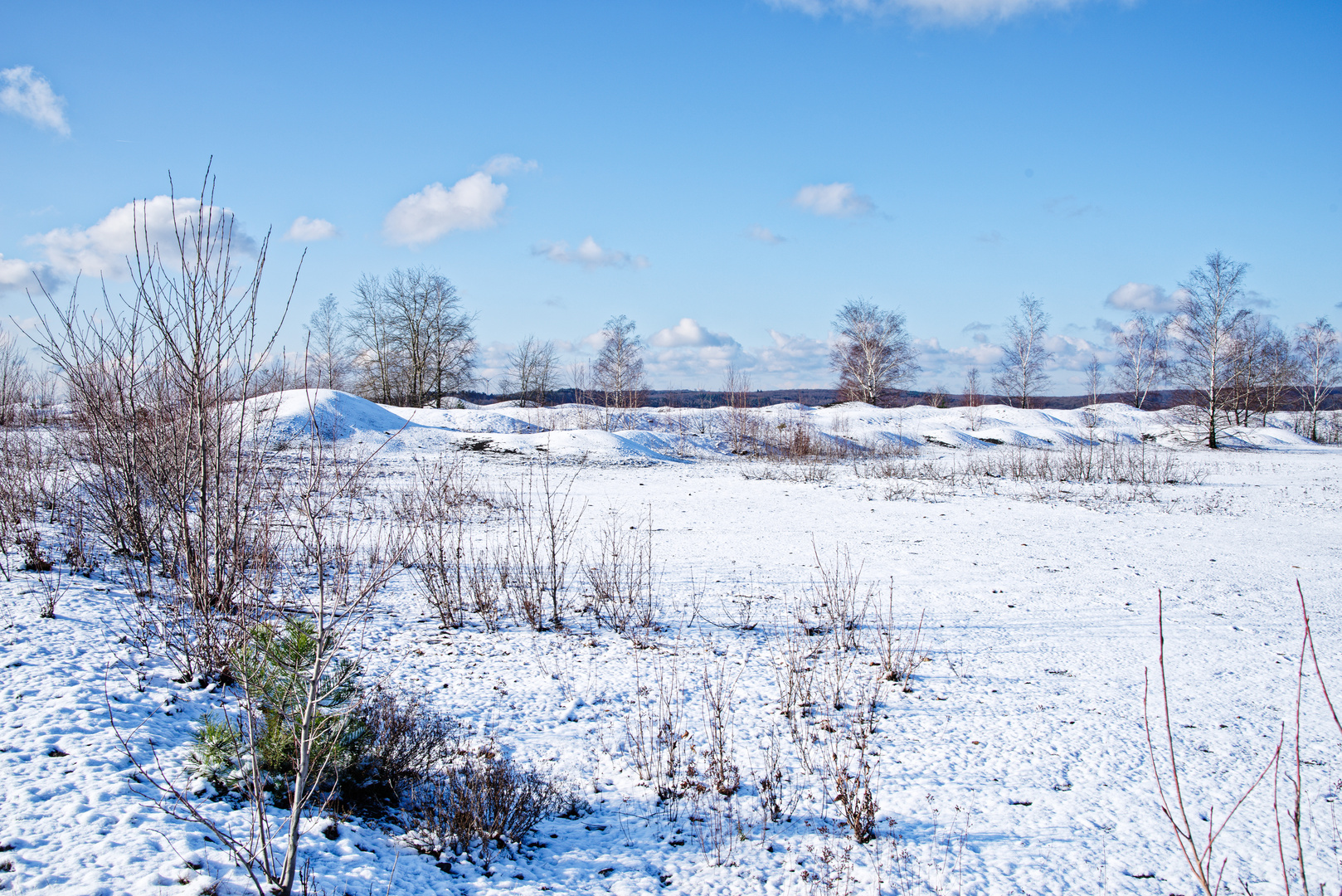 Haldenmotive, hier: Winterimpressionen auf der Halde Lydia Camphausen (Saarland)  (7)