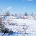 Haldenmotive, hier: Winterimpressionen auf der Halde Lydia Camphausen (Saarland)  (7)