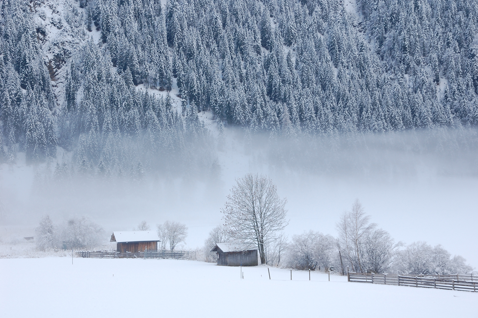 Haldensee