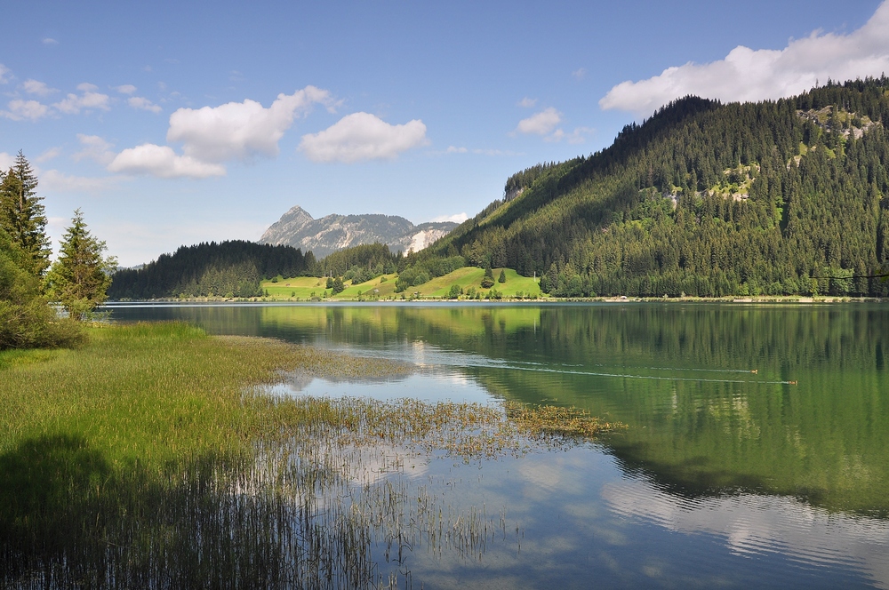 Haldensee im Tannheimer-Tal.................. (Teil 1)