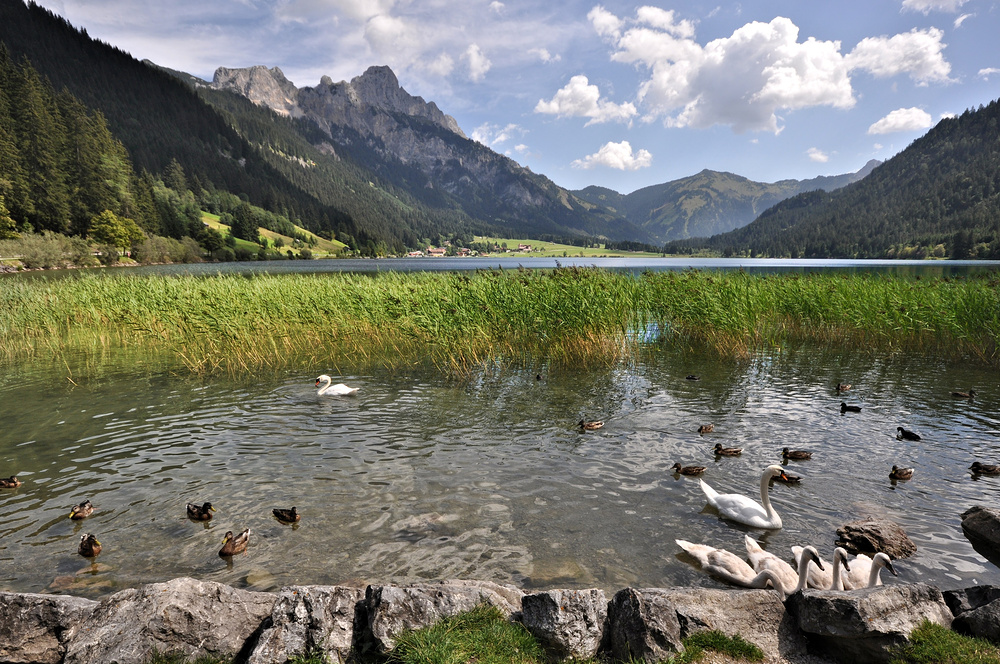 Haldensee im Tannheimer-Tal................. (Teil 1)