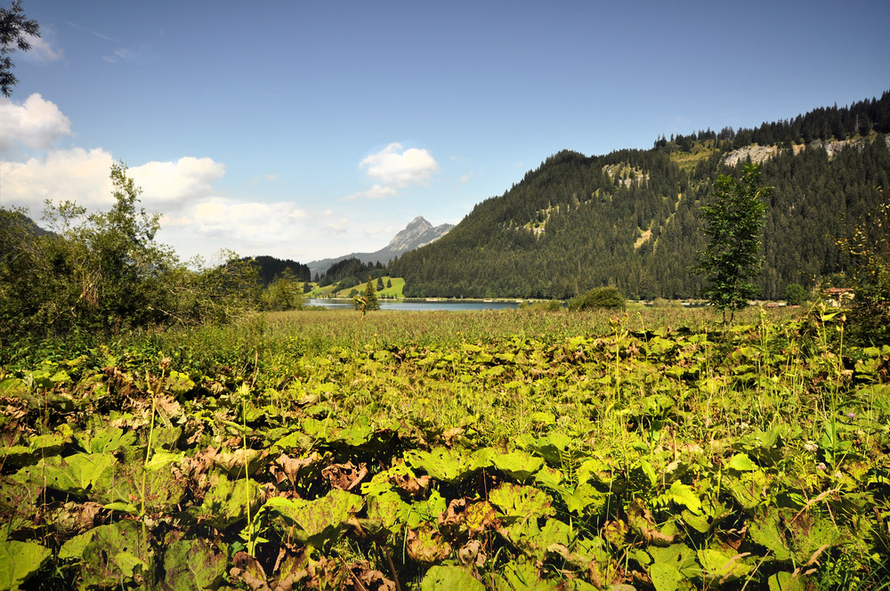 Haldensee im Tannheimer-Tal................... (Teil 1)