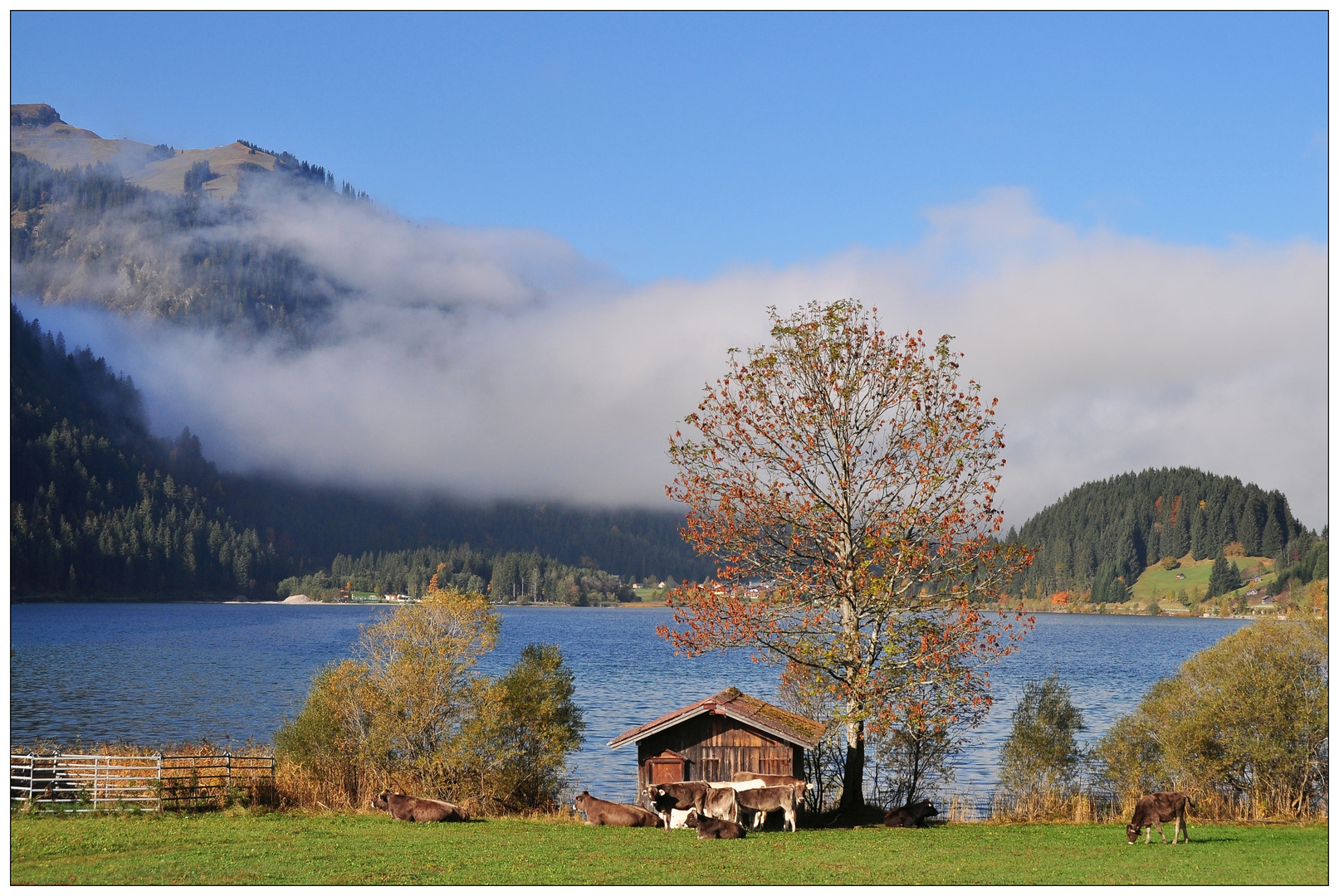 Haldensee mit Neunerköpfle