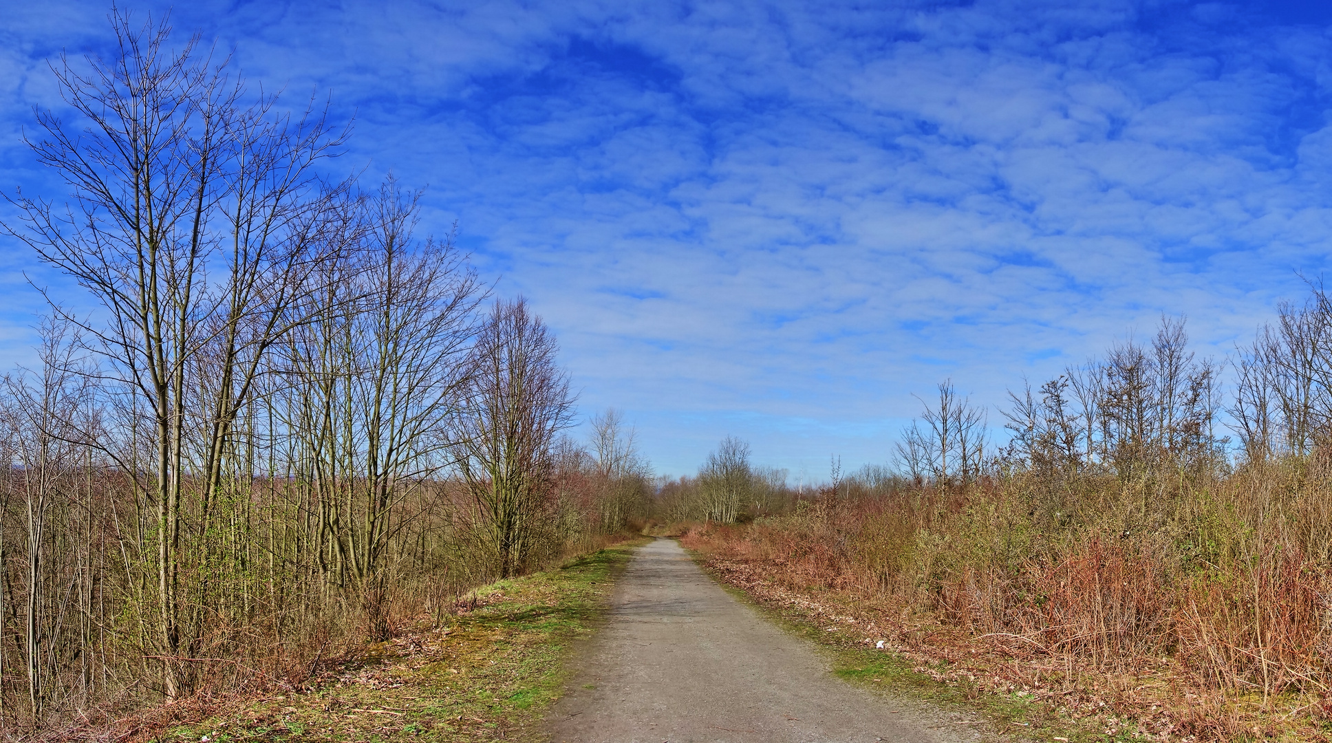 Haldenwanderung in Gelsenkirchen Halde Zollverein 4/11