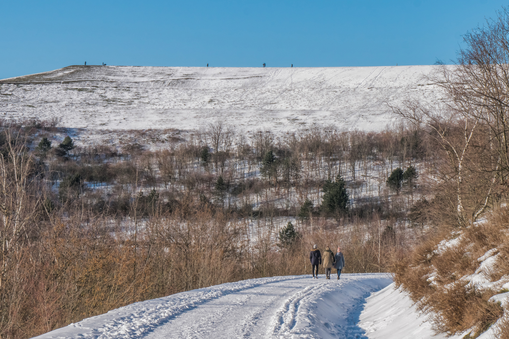 Haldenwinter (3)