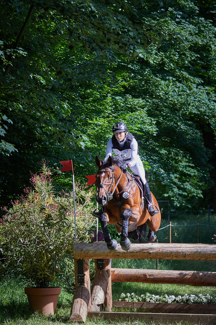 Hale Bob unter Ingrid Klimke I